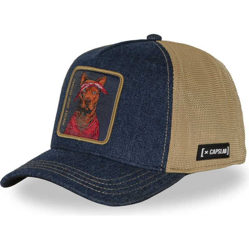cap-islenkta-multicolor-snapback-hip-hop-dogz-capslab