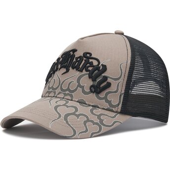 Kepurė išlenkta pilka snapback Flaming Ed Hardy