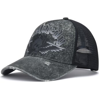 Kepurė išlenkta pilka snapback Flaming Gothic Skull Washed Ed Hardy
