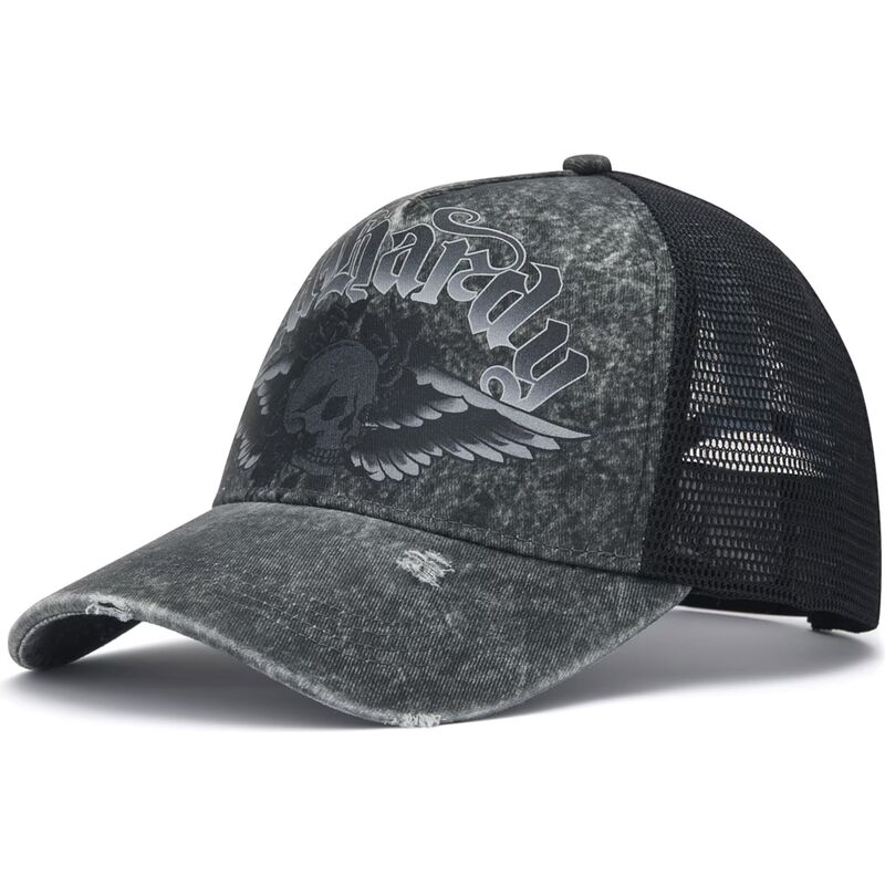 kepure-islenkta-pilka-snapback-flaming-gothic-skull-washed-ed-hardy kepure-islenkta-pilka-snapback-flaming-gothic-skull-washed-ed-hardy