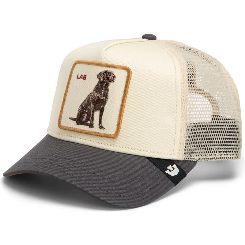 kepure-islenkta-kremine-snapback-shadow-lab-off-the-leash-the-farm-goorin-bros