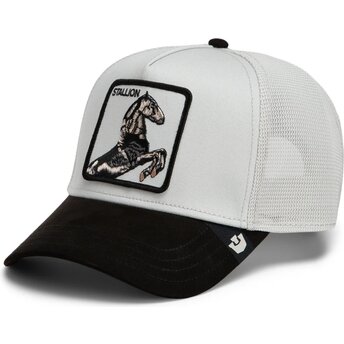 Kepurė išlenkta pilka snapback Suede Stallion Microsuede The Farm Goorin Bros.