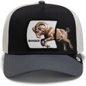 kepure-islenkta-ivairiaspalvis-snapback-banger-migration-the-farm-goorin-bros
